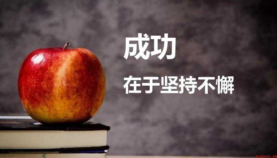 坚持不懈怎么造句