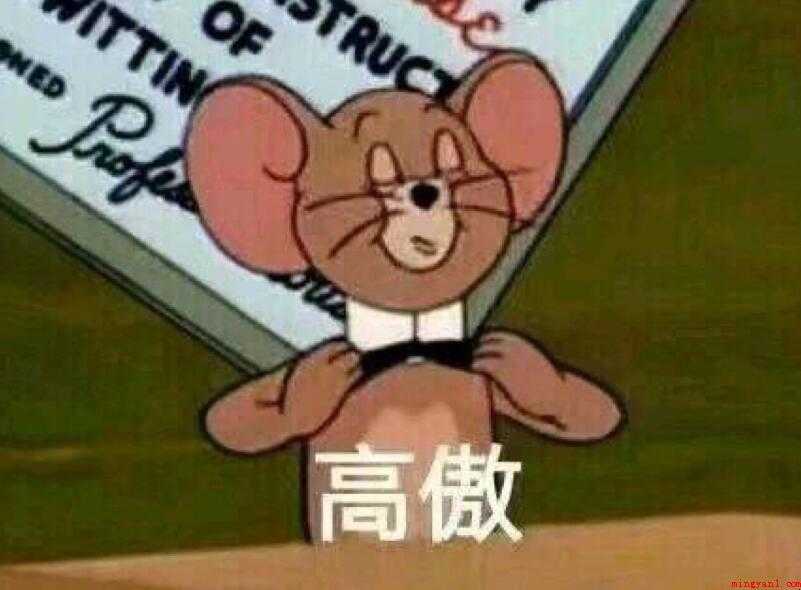 高傲的造句有哪些