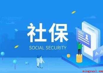 如何导出社保明细