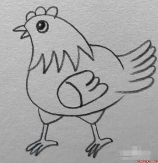 母鸡简笔画怎么画