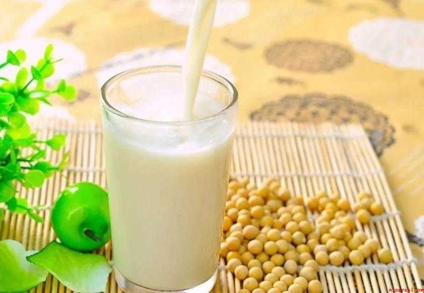 豆汁和豆浆的区别有哪些