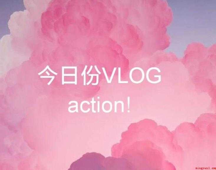 vlog是什么意思