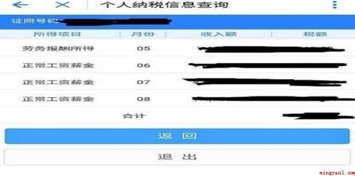 如何在网上查个人所得税