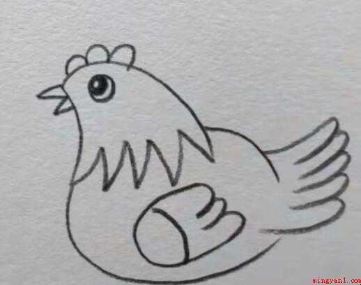 母鸡简笔画怎么画
