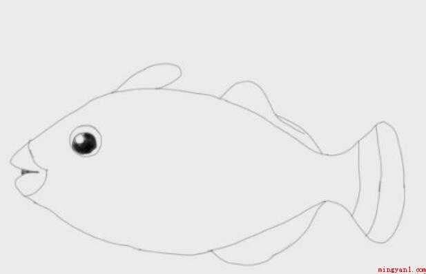 简笔画石斑鱼是怎么画的