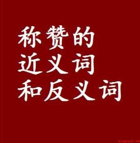 称赞的近义词是什么