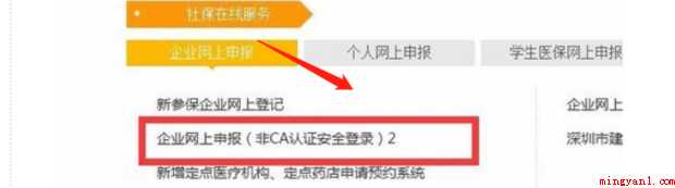 如何导出社保明细