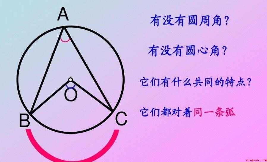 圆心角和圆周角二者的关系是什么