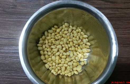 在家里怎样生黄豆芽