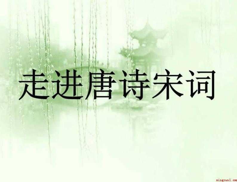 宋词的特点有哪些