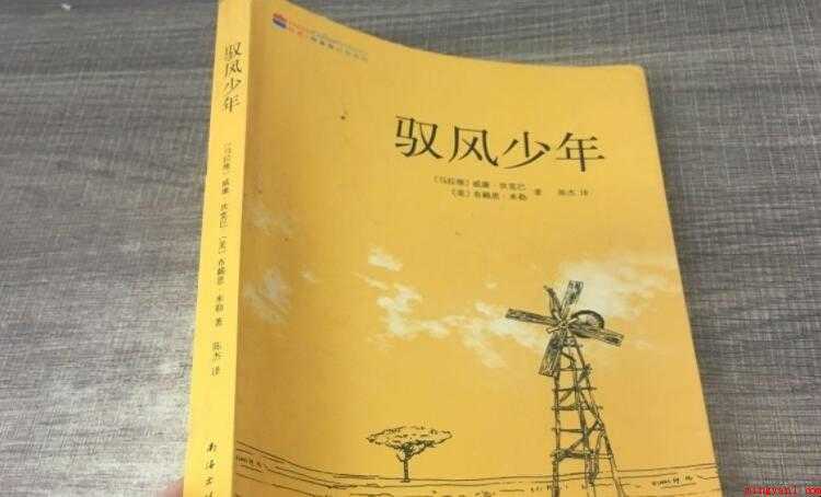《驭风少年》读后感怎么写