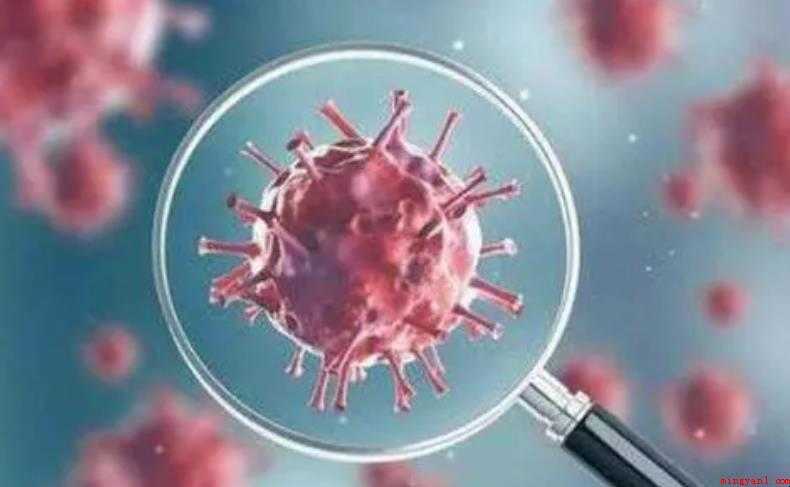 新冠病毒检测呈阴性是正常的吗