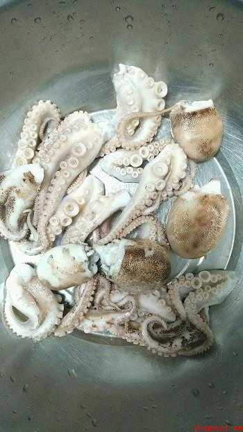 八爪鱼怎样清洗