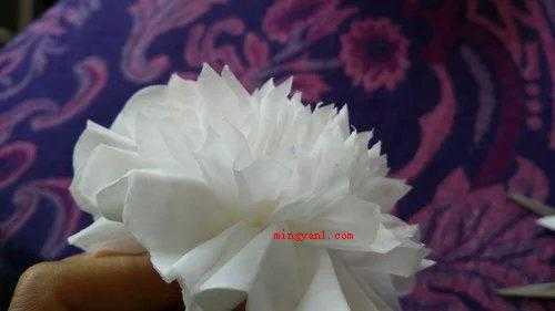 扫墓的小白花怎么折?