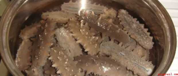 干海参怎样发泡