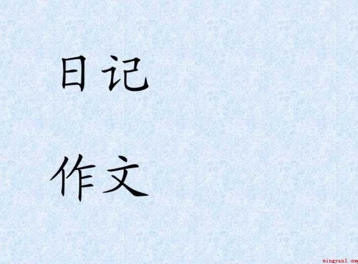 二年级日记怎么写