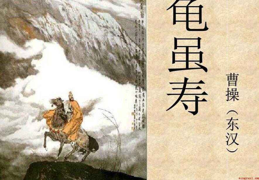 龟虽寿是什么意思