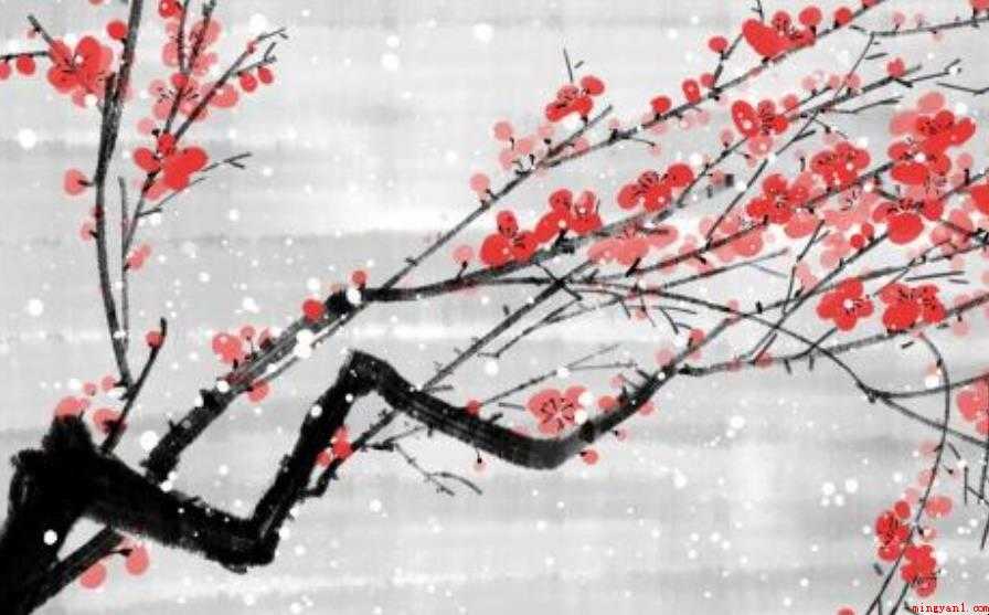 写梅花的诗句