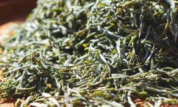 庐山云雾茶是绿茶吗