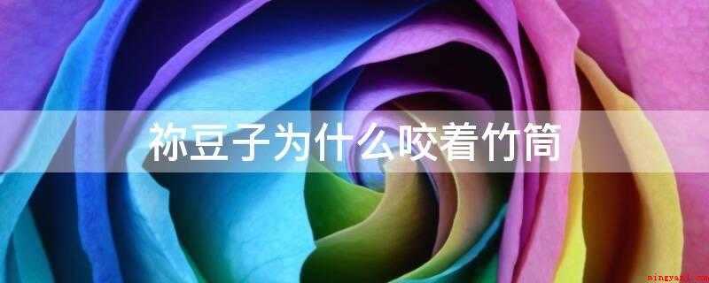 祢豆子为什么咬着竹筒