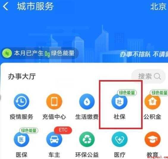 如何查询社保缴费记录