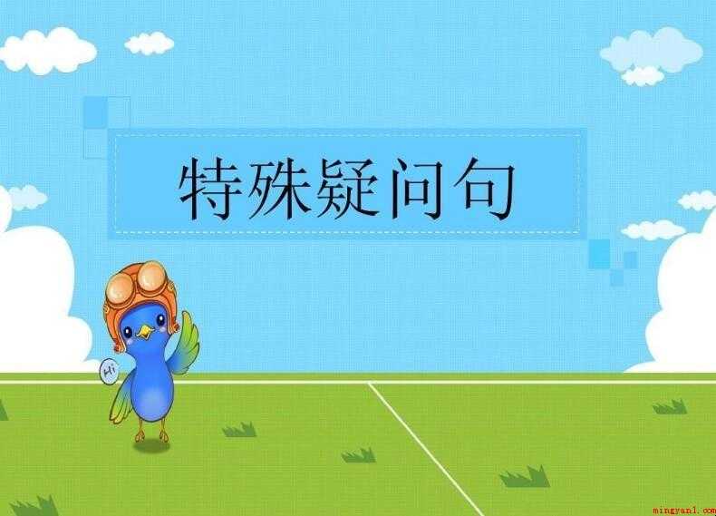 特殊疑问句是什么