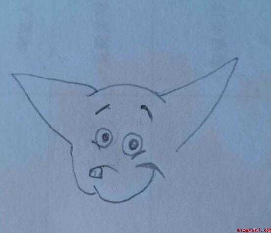 如何画吉娃娃简笔画