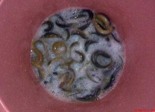 秘制小泥鳅怎样做