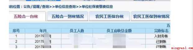 如何导出社保明细