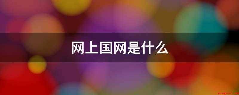 网上国网是什么