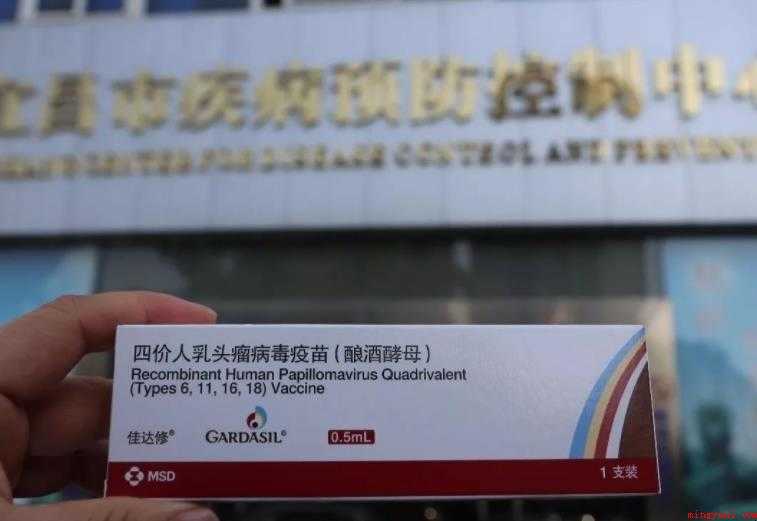hvp疫苗是几价