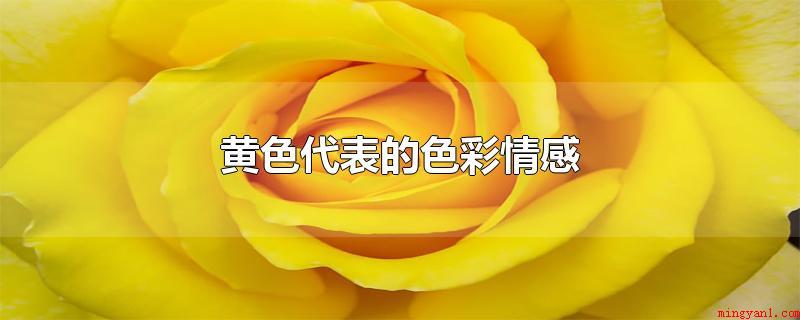 黄色代表的色彩情感(黄色表述出太阳,显眼的心态)