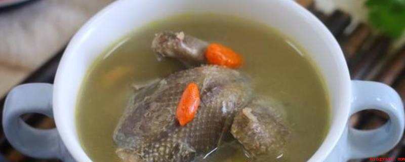 鸽子汤的功效与作用(多吃鸽子汤的功效与作用)