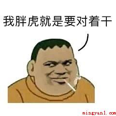 胖虎是什么梗
