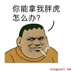 胖虎是什么梗