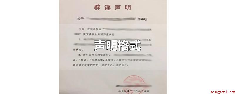 声明格式(声明格式一般为:标题、正文和尾部。标题可以只写)