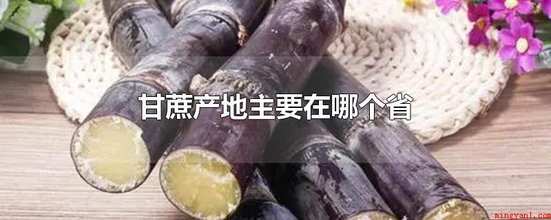 甘蔗产地主要在哪个省(甘蔗原产地主要是在广西和云南,由于这两个地区的甘蔗生产量占了)