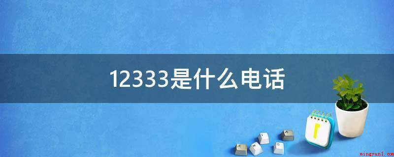 12333是什么电话(社会保障电话服务咨询专用型号)