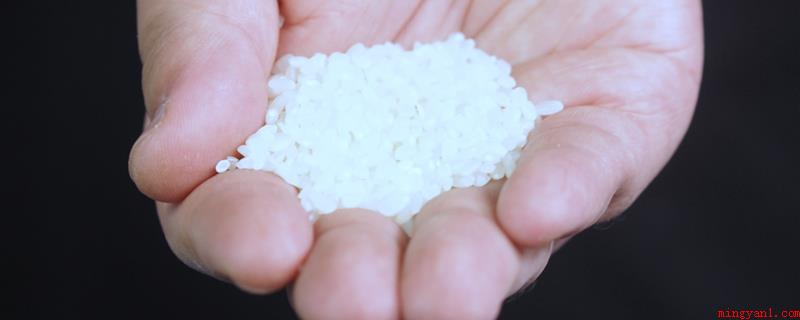 粳米是什么米（粳米是大米的品种之一_健康频道）