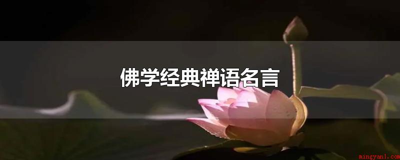 佛学经典禅语名言(佛学经典禅语名言有哪些)