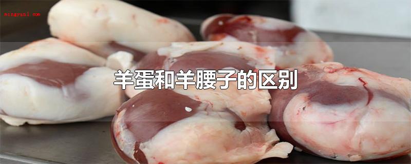 羊蛋和羊腰子的区别(羊腰子分为羊外腰和羊内腰)