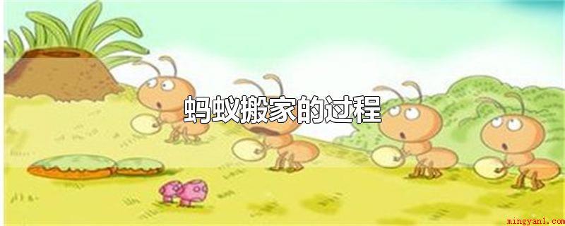 蚂蚁搬家的过程(蚂蚁搬家全过程通过了四个环节)