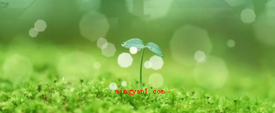 适合个人做的环保项目有哪些?(合适本人做的环境项目有哪些?)