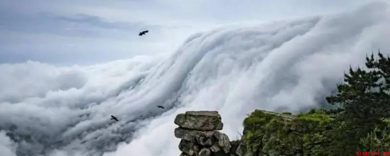 庐山云雾的两大特点是什么（庐山云雾的两个特征是形态各异、变幻莫测）