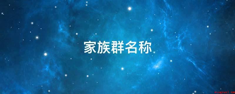 家族群名称(爱情是一家人、幸福之家、全球因爱而醉、武林争霸、一丝温暖、我)
