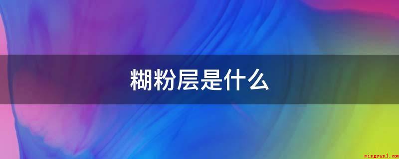 糊粉层是什么(糊粉层的营养成分有哪些?)