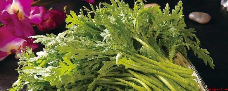 菊花菜为什么要焯水(菊花菜焯水的因素)