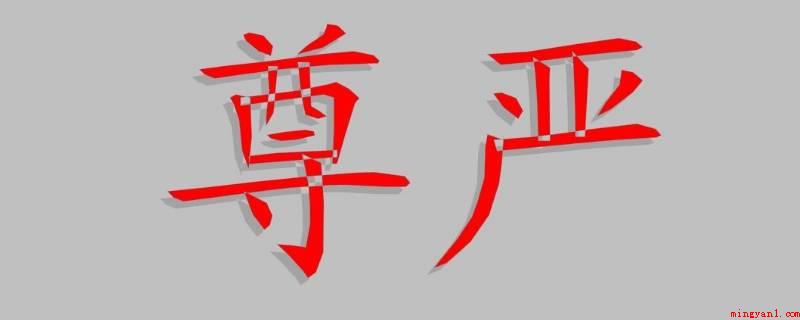尊严和面子有什么区别(面子是什么意思?)