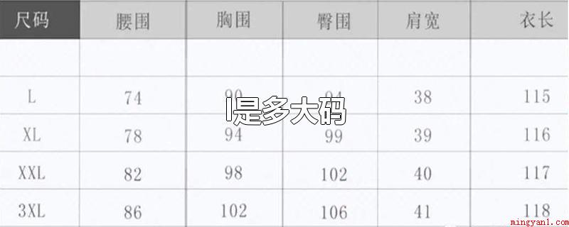 l是多大码(l码为国际标准码,适合身高)