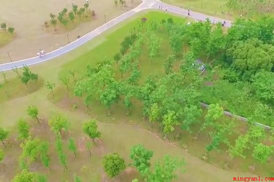 杭州有什么好玩的地方(杭州宋城是仿古建筑工程主题风格的生态公园)